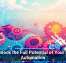 Unlock the Full Potential of Your IT Automation